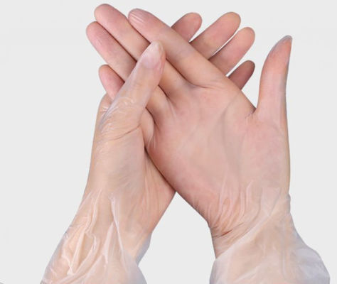 L Vinyl Food Grade-handschoenen, geschikt voor voedselwerk en zorgen voor veilige bediening en besmettingspreventie in de voedingsindustrie