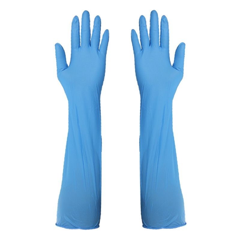 4 to 6 Mil Thickness 400 mm length Disposable Nitrile Glove Powder Free 50pcs Bag Ideal for Healthcare Food Processing Cleaning Tasks
